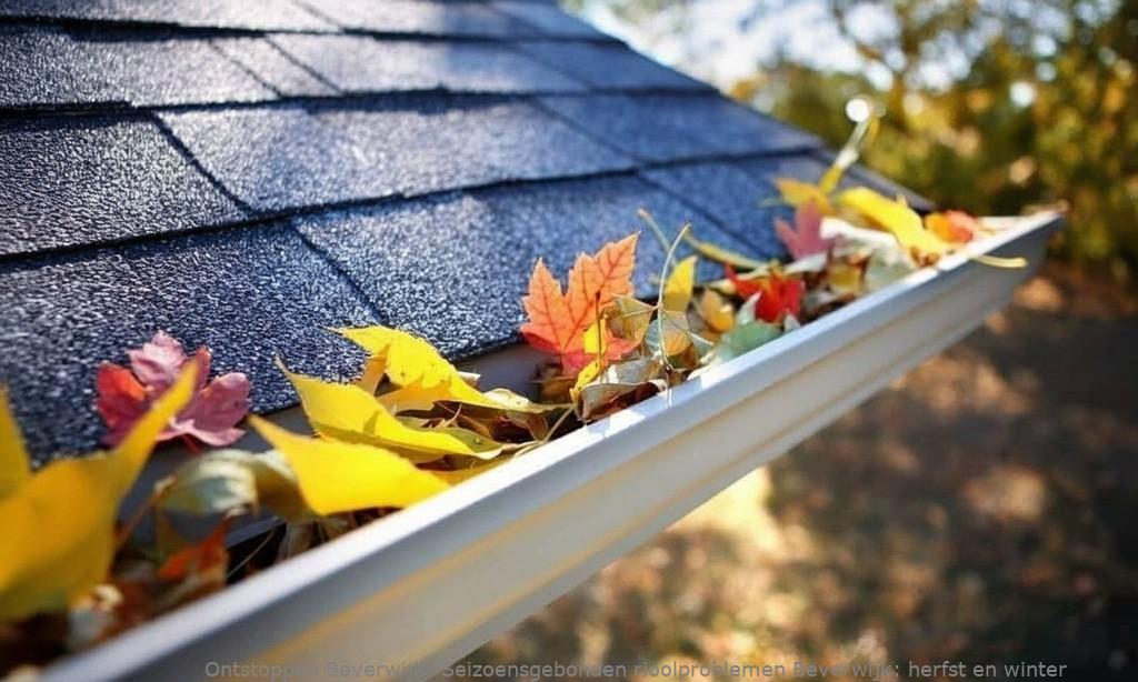 Seizoensgebonden rioolproblemen Beverwijk: herfst en winter